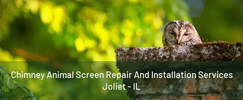 Chimney Animal Screen Repair And Installation Services Joliet - IL