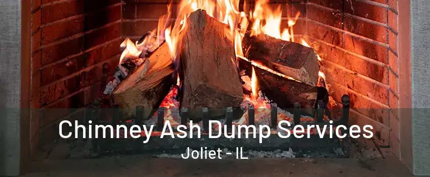 Chimney Ash Dump Services Joliet - IL