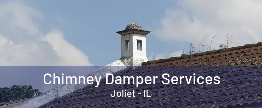 Chimney Damper Services Joliet - IL