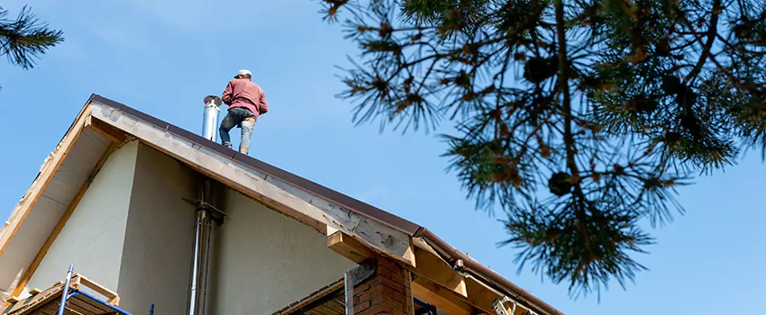 Birds Removal Contractors from Chimney in Joliet, IL