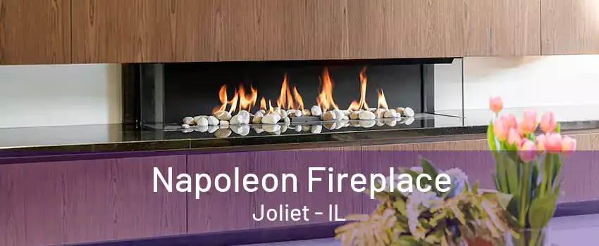 Napoleon Fireplace Joliet - IL